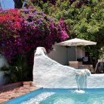 florishing bougainville.2009